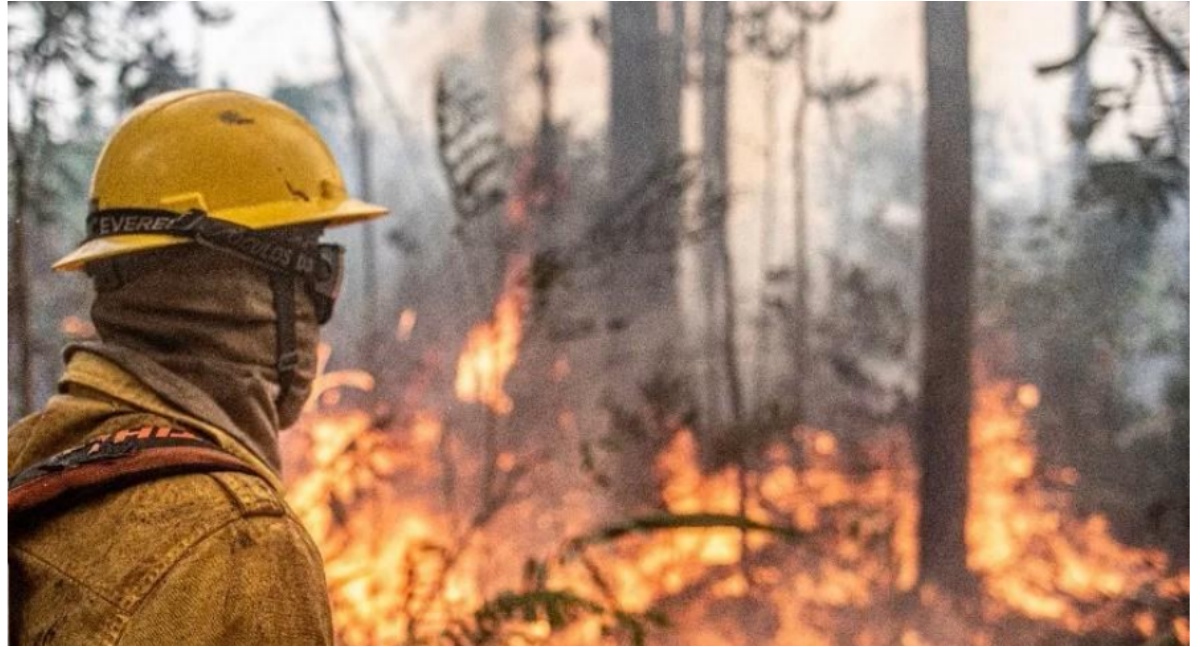 DEPUTADO CORONEL CHRISÓSTOMO CRITICA OMISSÃO DO GOVERNO E ALERTA PARA DEVASTAÇÃO DA AMAZÔNIA NO DIA DA AMAZÔNIA